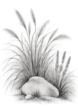 Elementals_edited.png